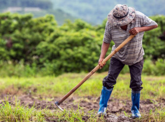 Lebanese farmers can’t cover their costs, so they're quitting the industry
