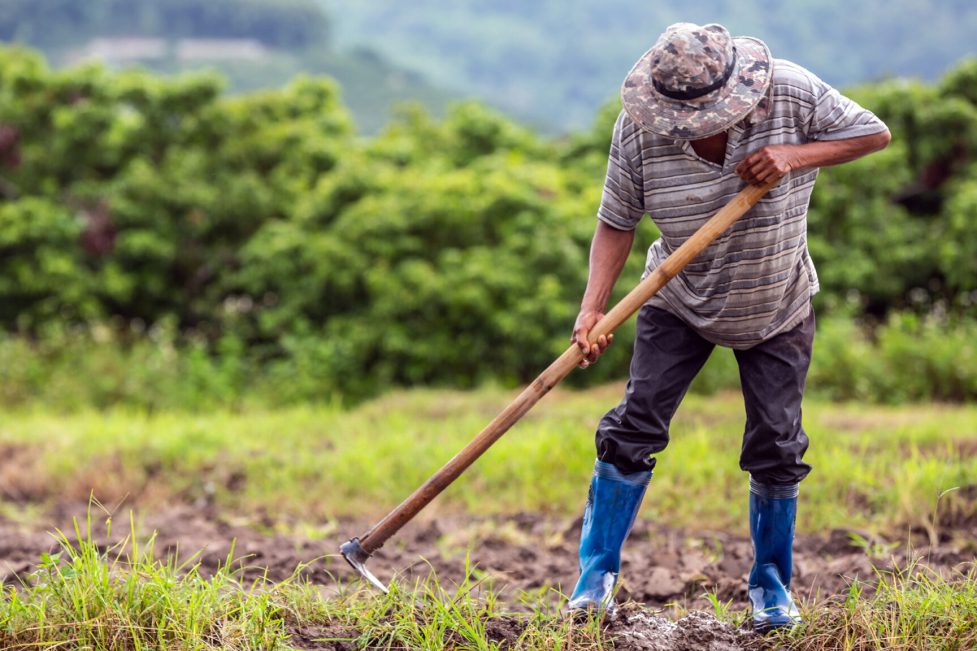 Lebanese farmers can’t cover their costs, so they're quitting the industry