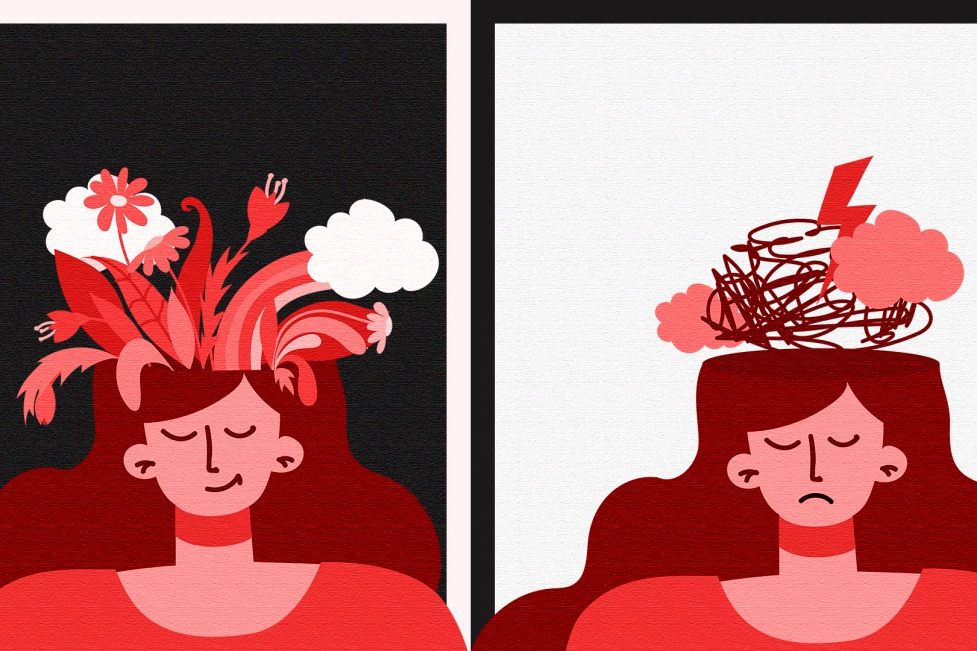 Mental health provider article