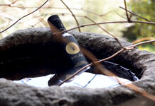 A way of remembering: Lebanon’s new olive oil scene