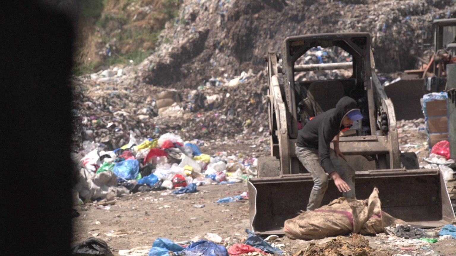 Trash for profit Turning organic waste into economic opportunities